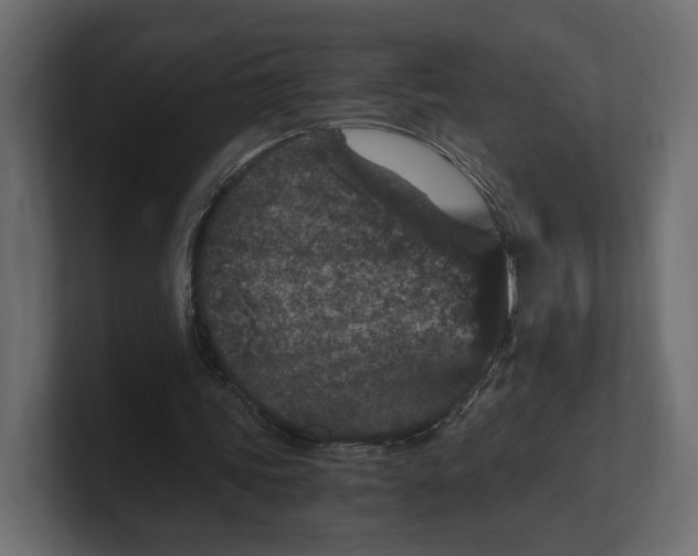 X0000100350339200806271407