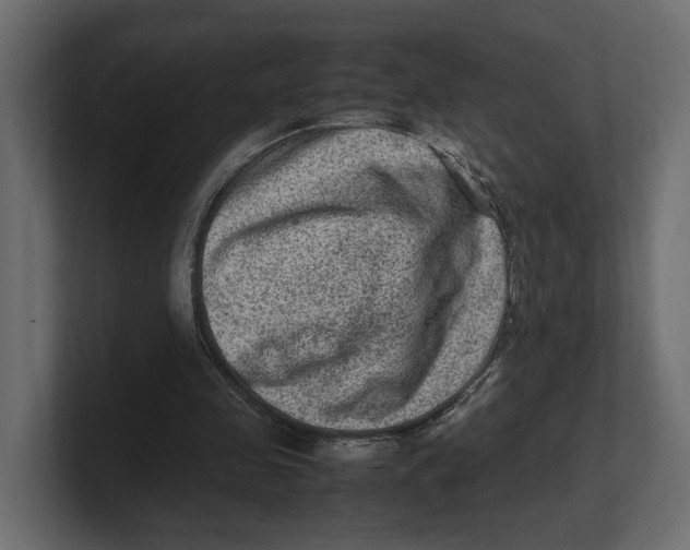 X0000100350341200806271407