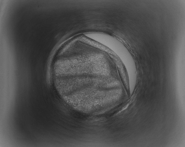 X0000100350343200806271407