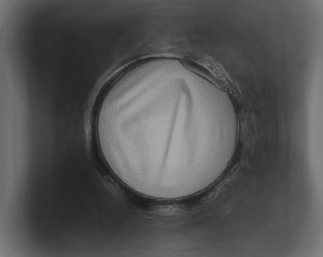 X0000100350344200806271407