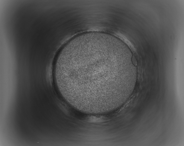 X0000100350346200806271407