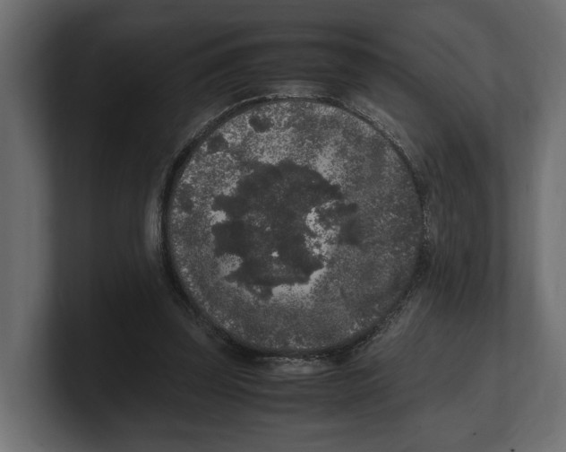 X0000100350347200806271407