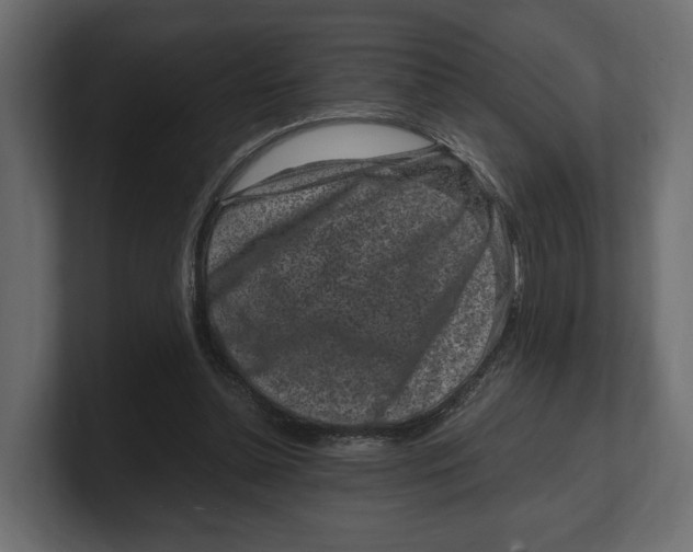 X0000100350348200806271407