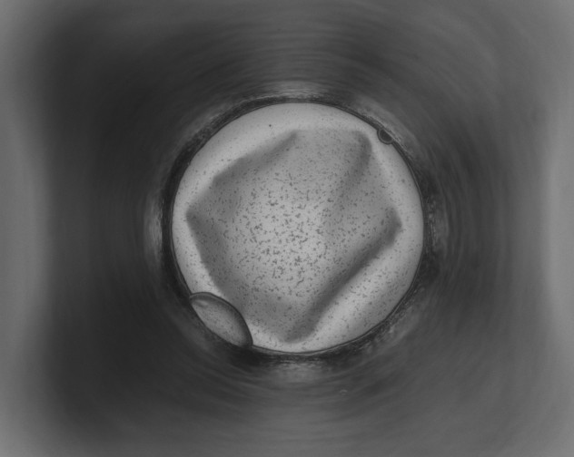 X0000100350350200806271407