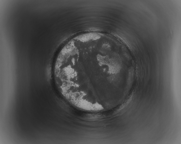 X0000100350351200806271407