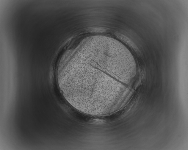 X0000100350352200806271407