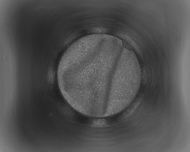 X0000100350355200806271407