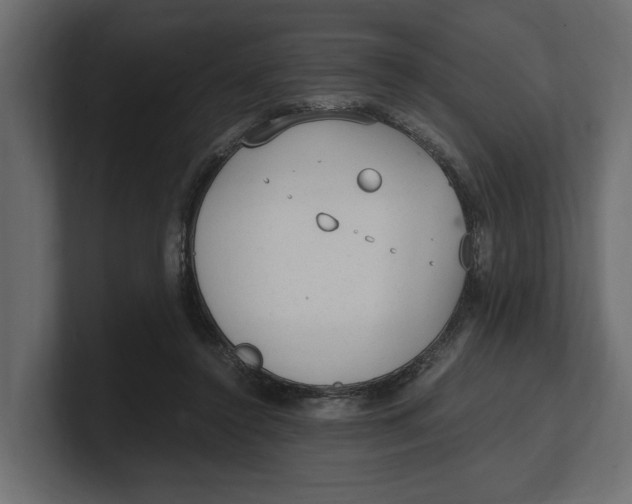 X0000100350356200806271407