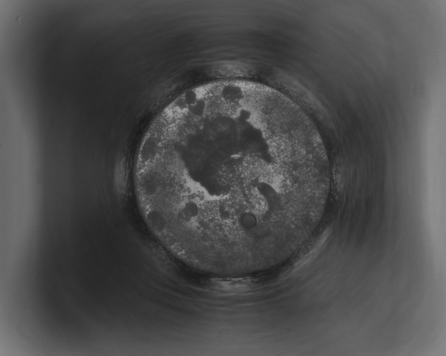 X0000100350359200806271407