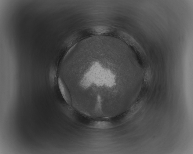 X0000100350360200806271407