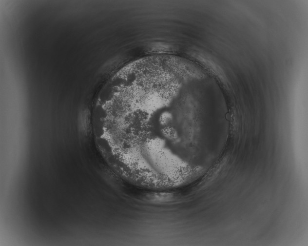 X0000100350361200806271407