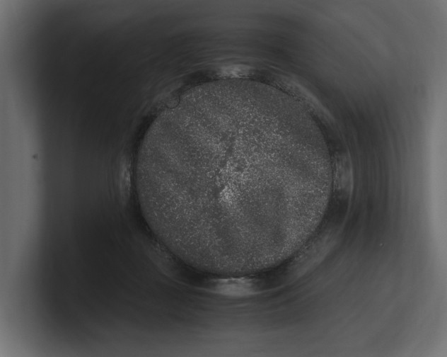 X0000100350363200806271407