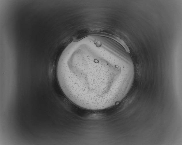 X0000100350364200806271407