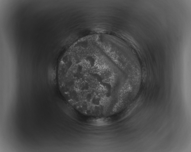 X0000100350365200806271407