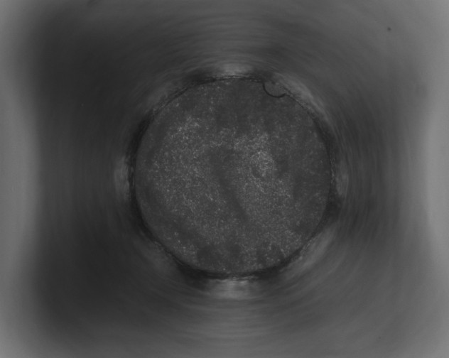 X0000100350366200806271407