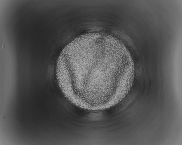 X0000100350369200806271407