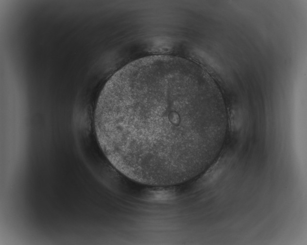 X0000100350370200806271407