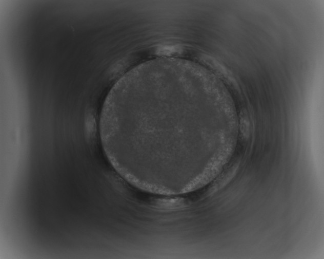 X0000100350375200806271407