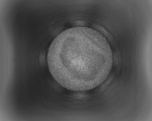 X0000100350377200806271407