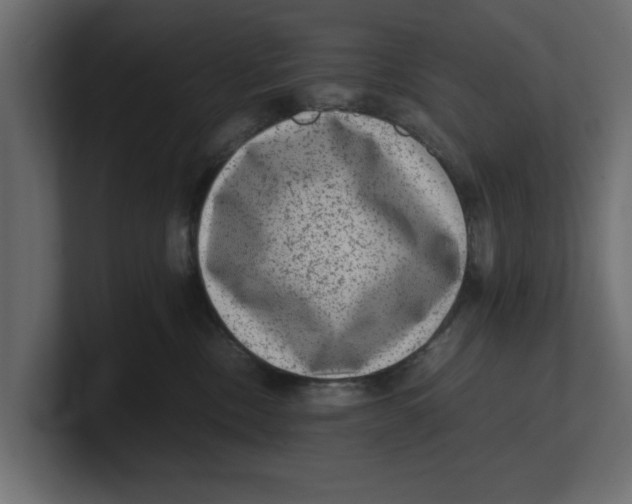 X0000100350378200806271407