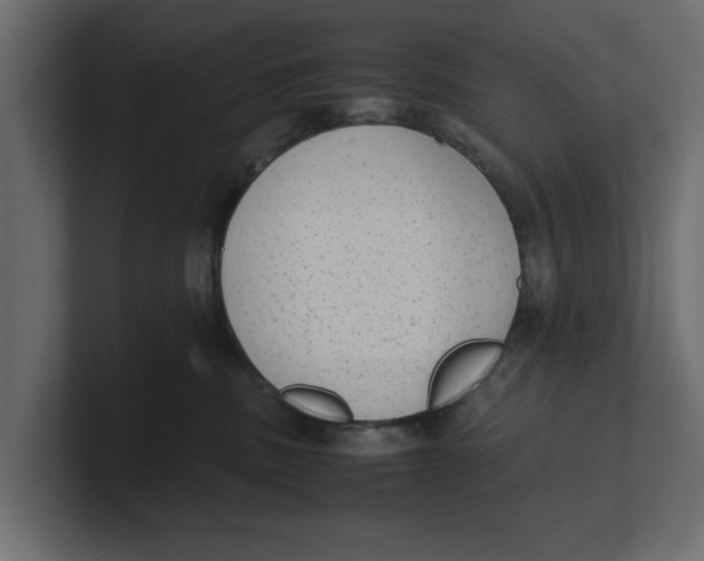 X0000100350379200806271407