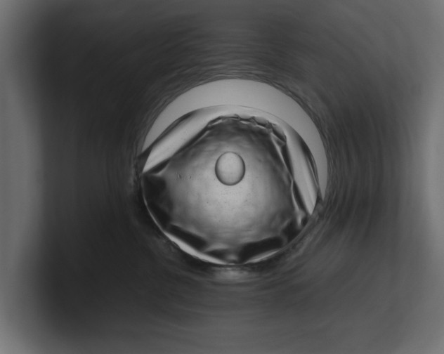 X0000100350380200806271407