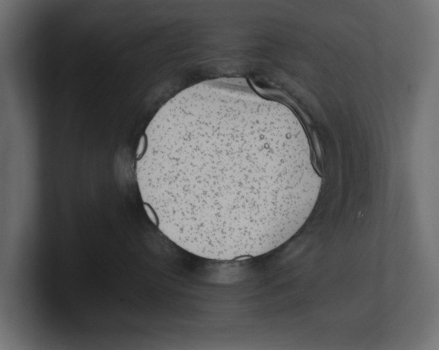 X0000100350384200806271407