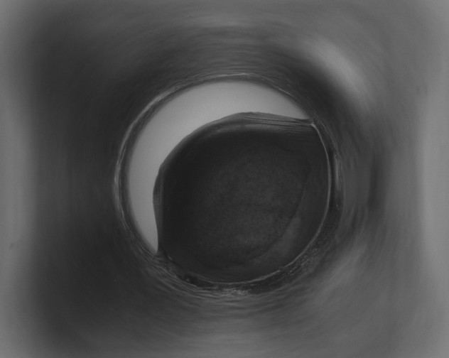 X0000100350387200806271406