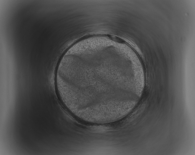 X0000100350389200806271406