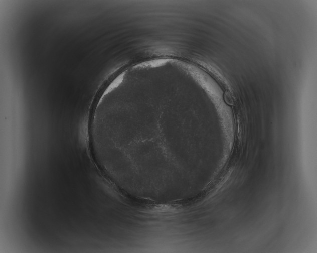 X0000100350390200806271406