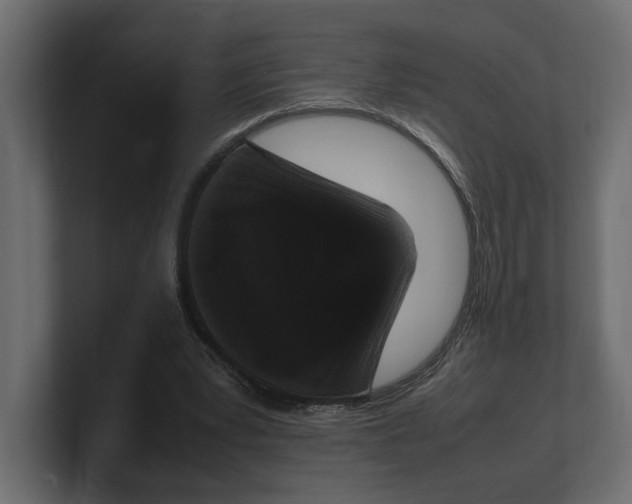 X0000100350391200806271406