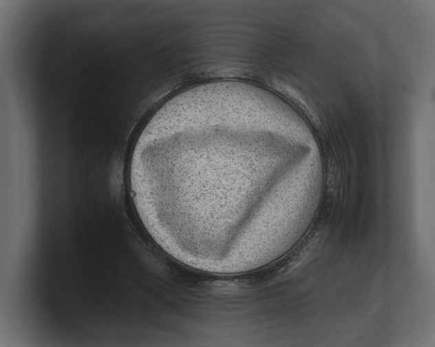 X0000100350394200806271406