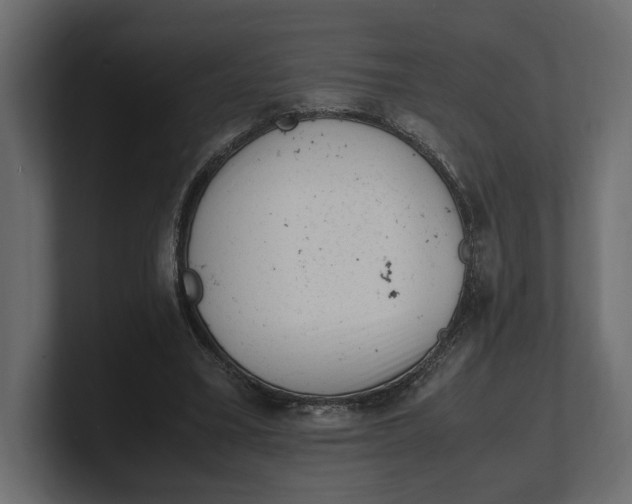 X0000100350395200806271406