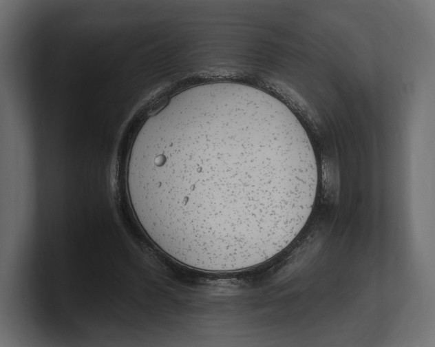 X0000100350396200806271406