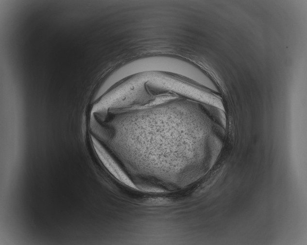 X0000100350397200806271406