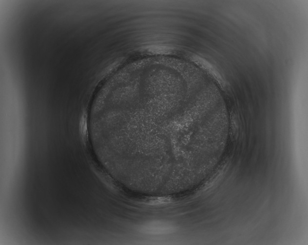 X0000100350398200806271406