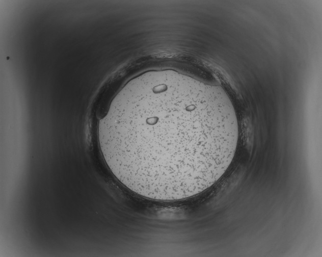 X0000100350400200806271406