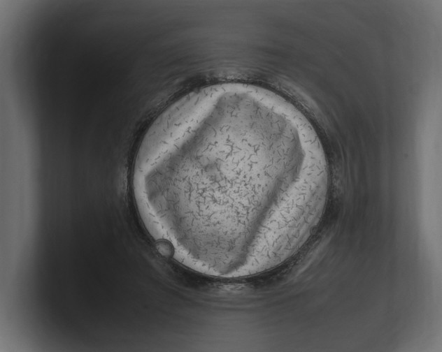 X0000100350401200806271406