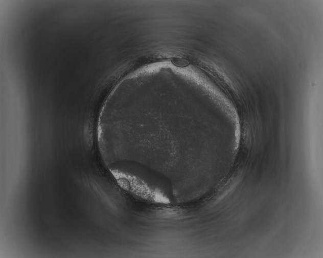 X0000100350402200806271406