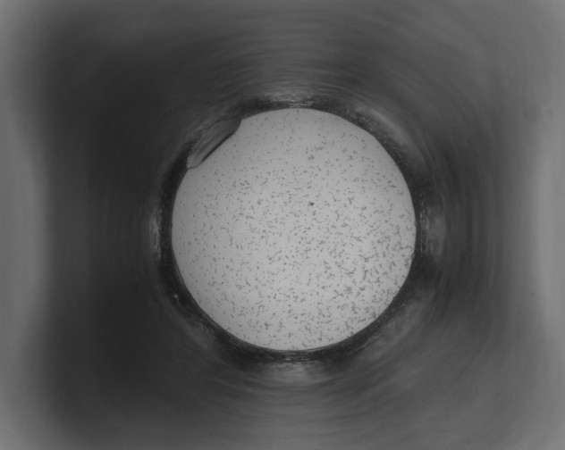 X0000100350404200806271406