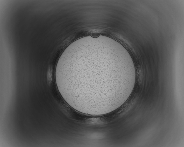 X0000100350406200806271406