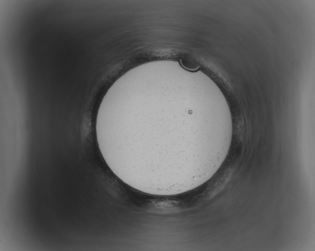 X0000100350407200806271406