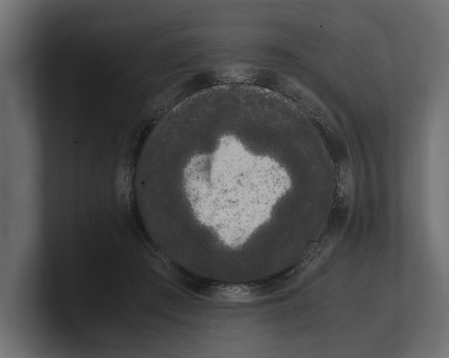 X0000100350409200806271406