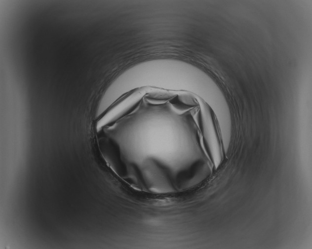 X0000100350411200806271406