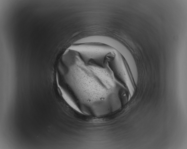 X0000100350413200806271406