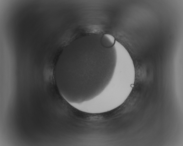 X0000100350415200806271406