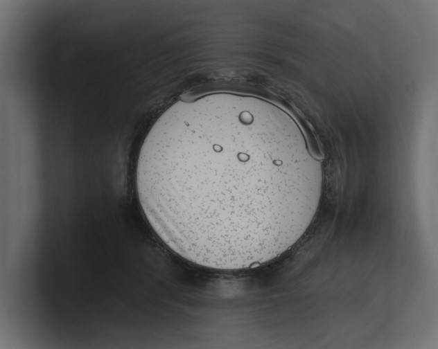 X0000100350416200806271406