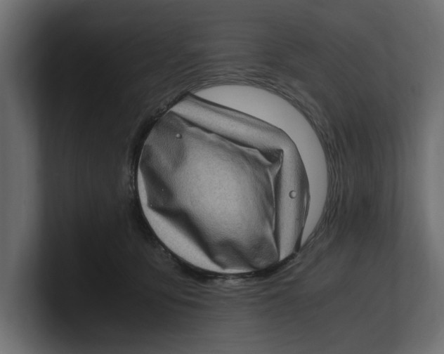 X0000100350419200806271406