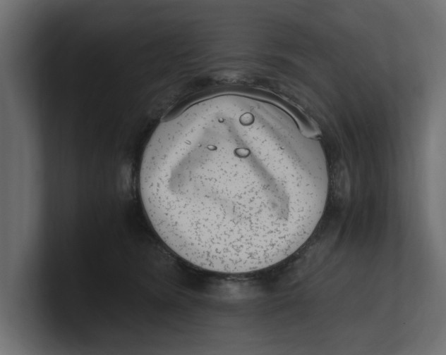 X0000100350420200806271406