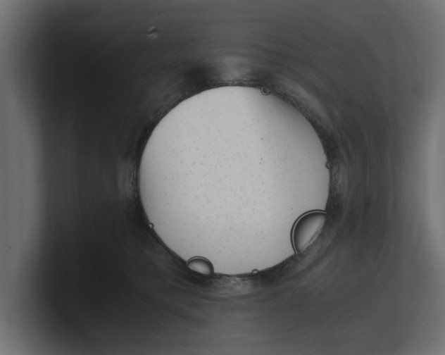 X0000100350421200806271406